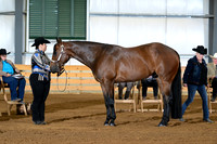 AJB_1182