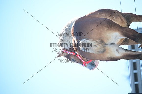 file_177425445888