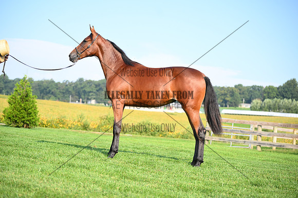 AJB_0792