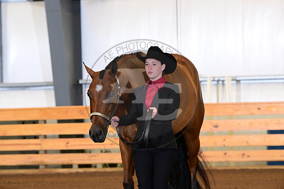 AJB_0279