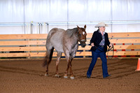 AJB_0041