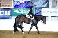 AJB_9350