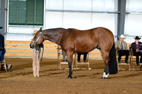 AJB_1464
