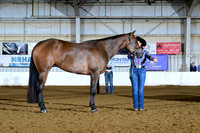 AJB_1206