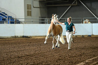 AJB_4842