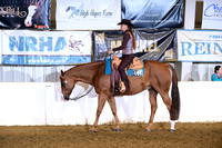 110. Level 1 WJ WP