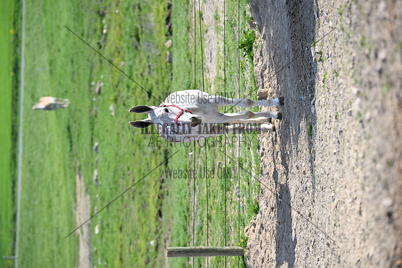 file_255698807296