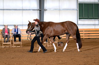AJB_0883