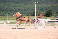 AJB_4753