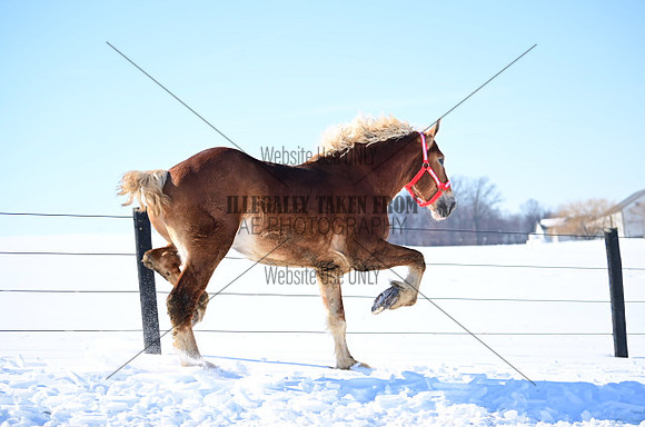 file_177265002496