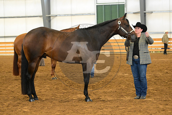 AJB_2195