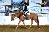 AJB_9391