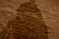 AJB_0499