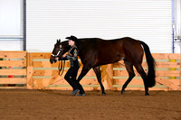 AJB_0248