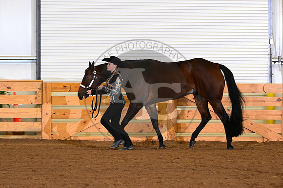 AJB_0248