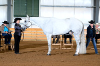 AJB_0788