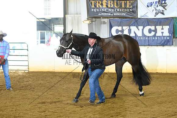 AJB_1753