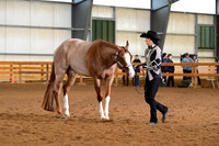 AJB_0923