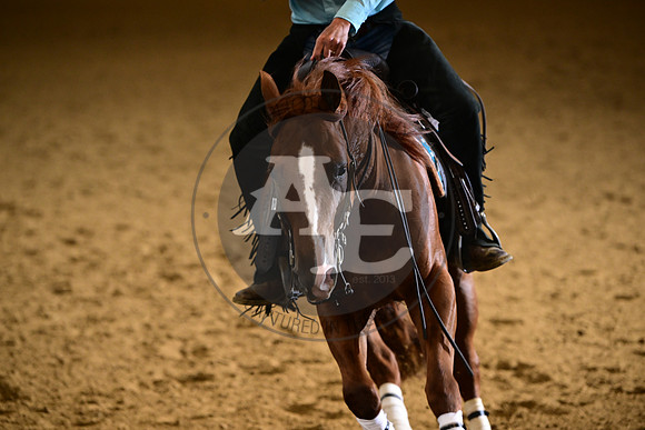 AJB_0272