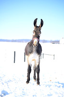 file_176851779584