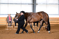 AJB_0849