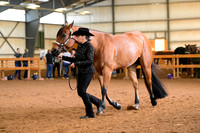 AJB_0936