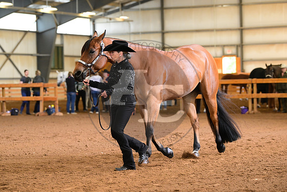 AJB_0936