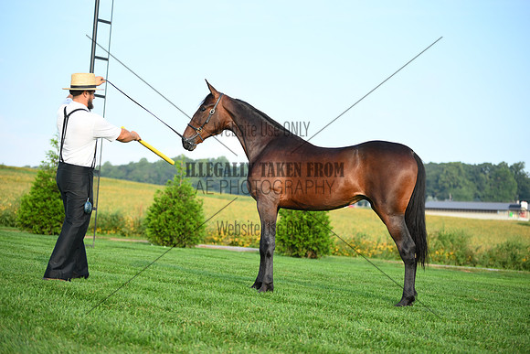AJB_0614