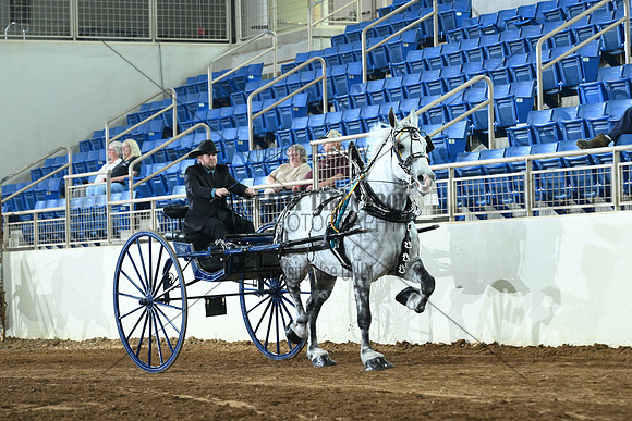 AJB_6678