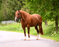 smyers_2958