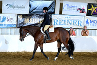 AJB_9638