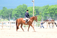 AJB_6133