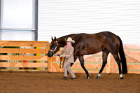 AJB_0202