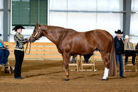 AJB_1518