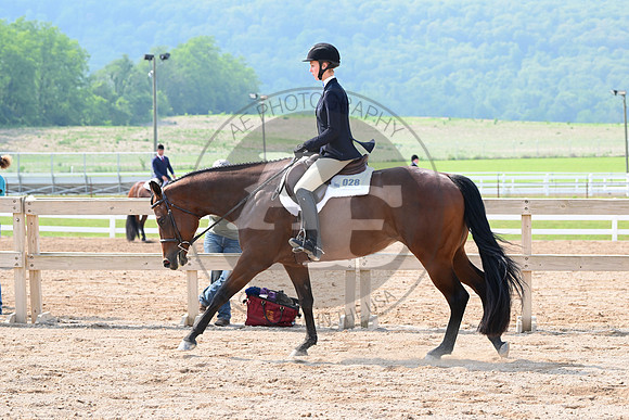 AJB_6467
