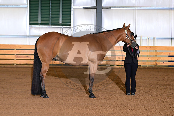 AJB_0107