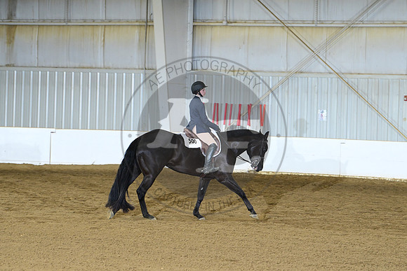 AJB_0053