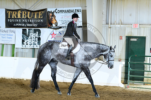 AJB_9543