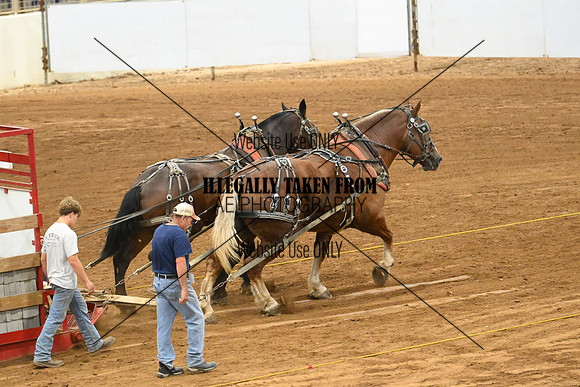 AJB_8414