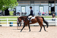AJB_6335