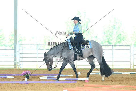 AJB_2735