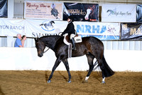 AJB_2586