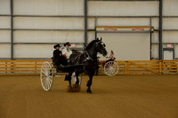 Sr. Youth Cart-8