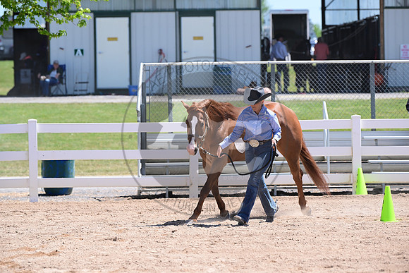 AJB_7068