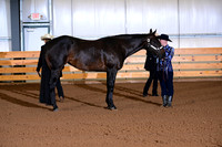 AJB_0014