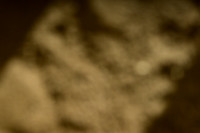 AJB_1368