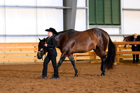 AJB_0292
