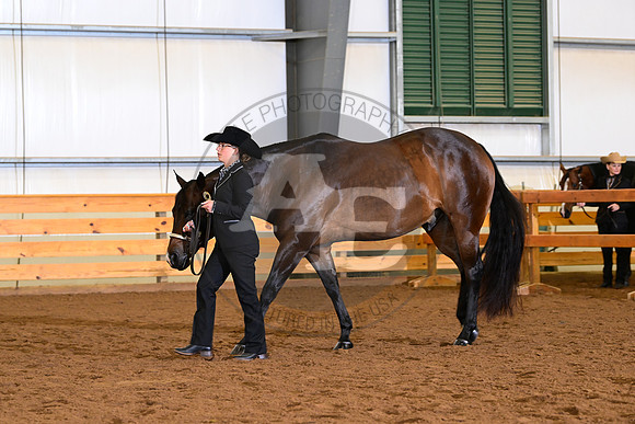 AJB_0292