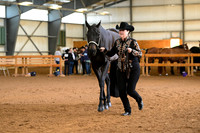 AJB_0954