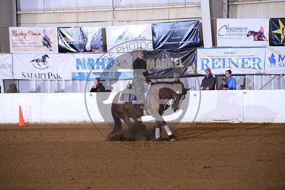 AJB_6513